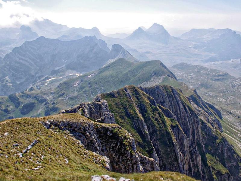 JovRenalSymTrek Rosario